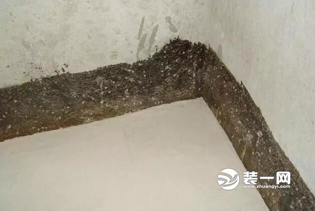 毛坯房装修图