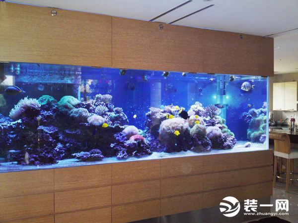鱼缸摆放风水