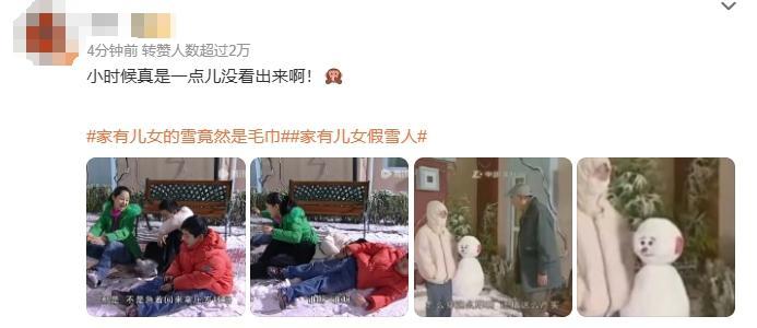 《家有儿女》里的雪竟然是毛巾