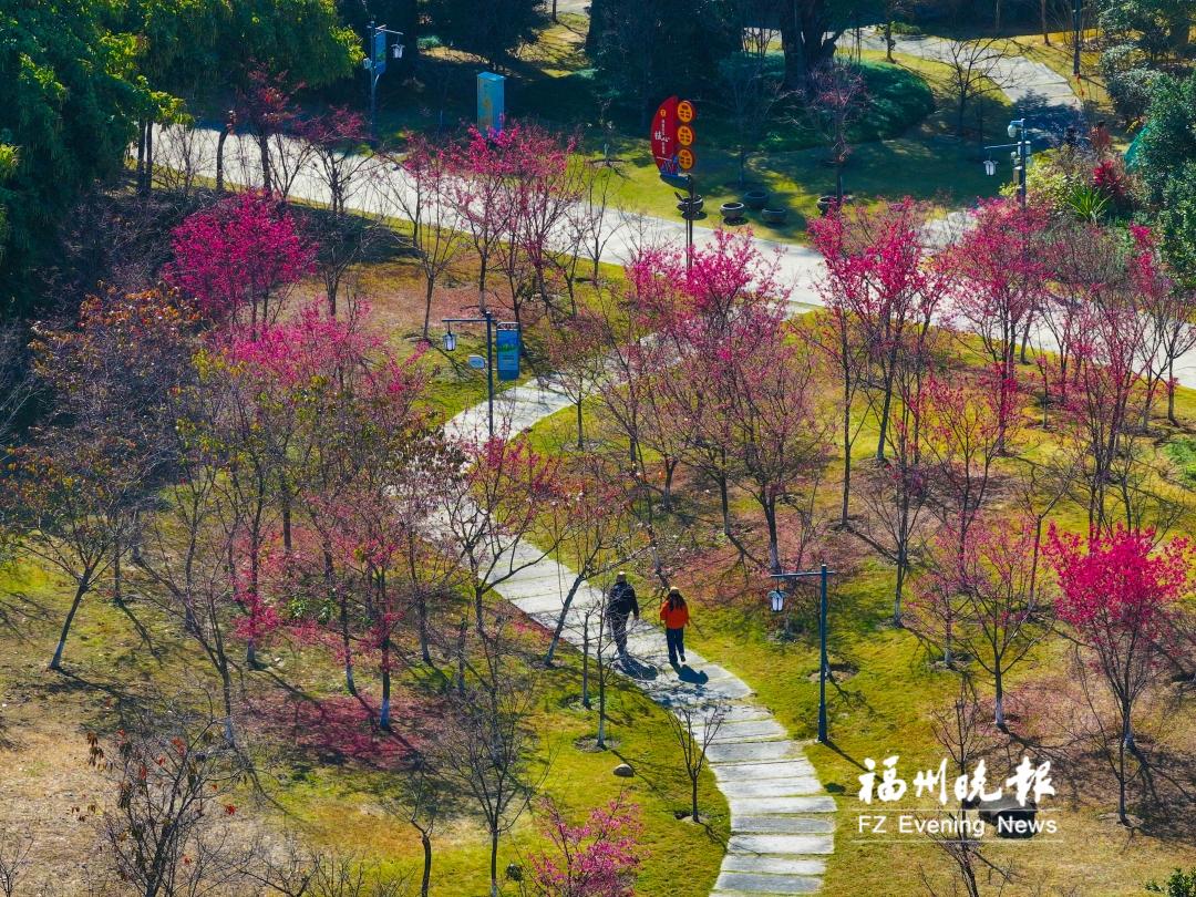 2月福州公园赏花地图发布