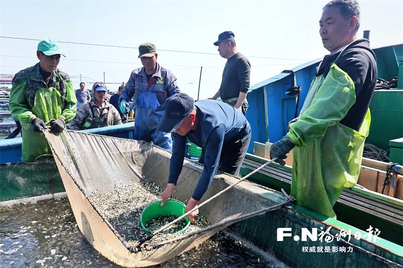 “三本账”里的春耕新变化
