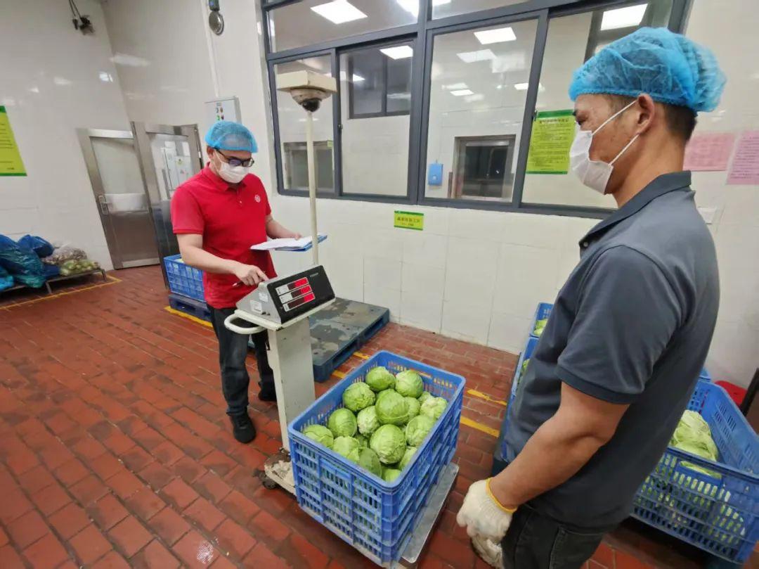 厦大食堂“包菜炒一切”，学生还点赞，这是为啥？