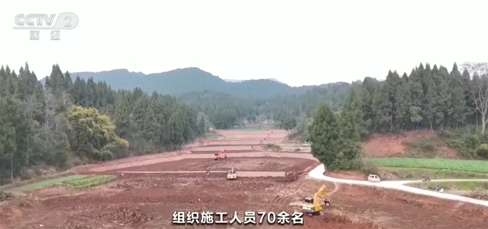 各地抢抓农时 春耕备耕一派火热绘就好“丰”景