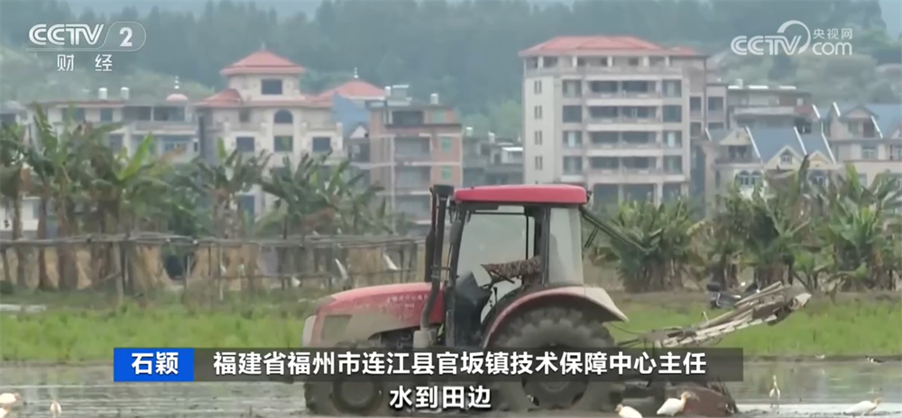 各地抢抓农时 春耕备耕一派火热绘就好“丰”景