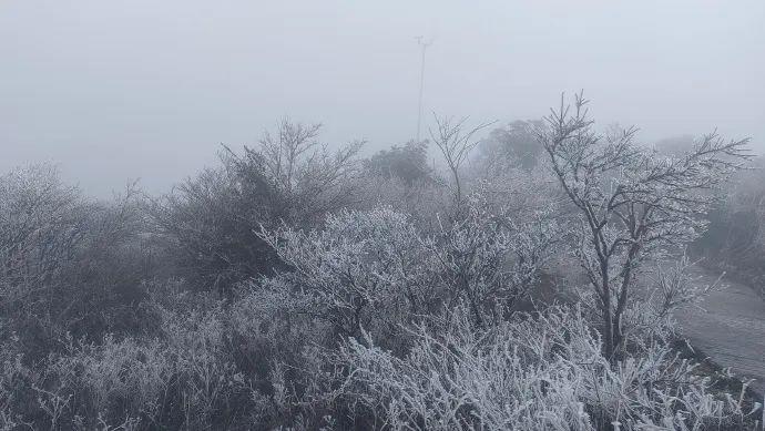 大降温！福建一地出现雾凇！回暖时间就在……
