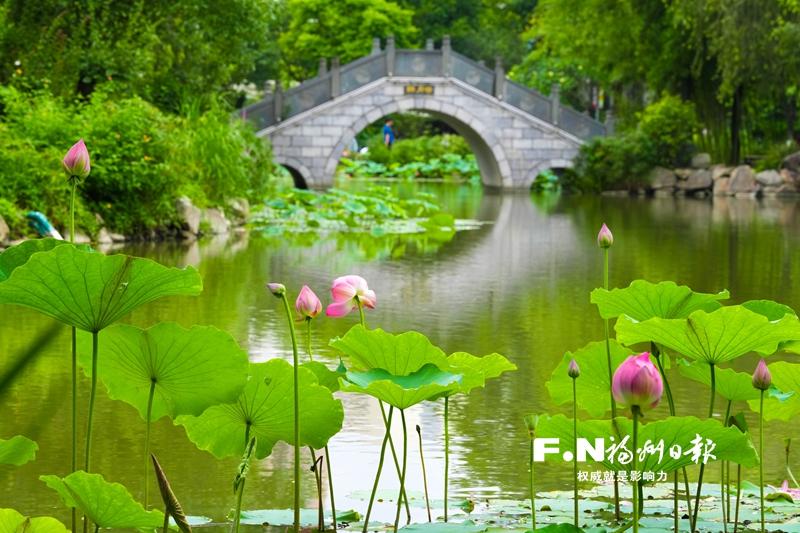 追新看点｜福州你是懂起名的！地铁站名能脑补一部武侠大片？