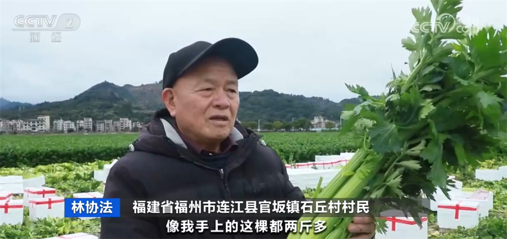 各地抢抓农时 春耕备耕一派火热绘就好“丰”景