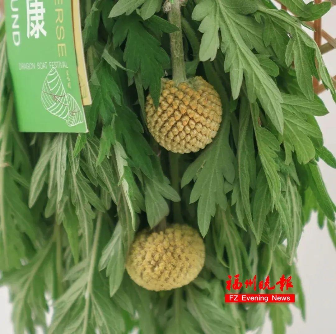 突然火了！朴朴、永辉热卖！很多福州人出手了