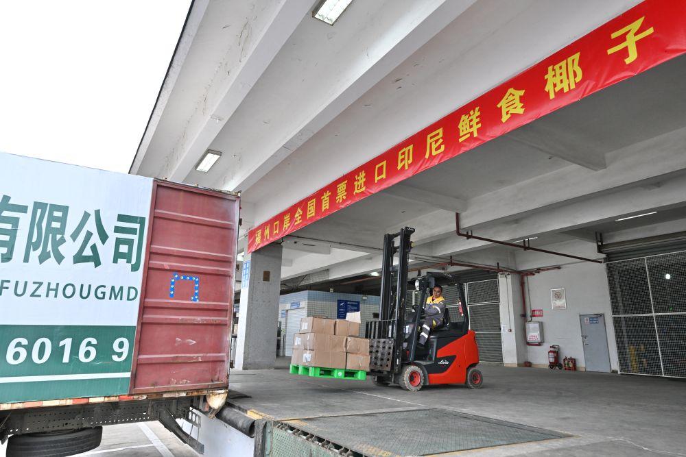 中国首票进口印尼鲜食椰子落地福州