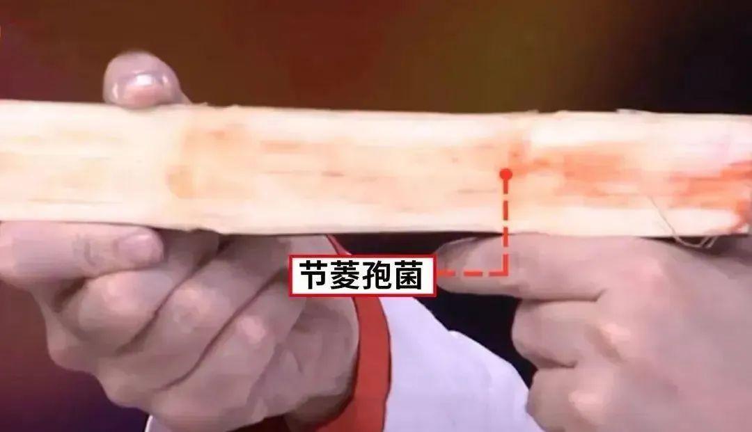 警惕，已进入中毒高发期！福州正大量上市，很多人爱吃