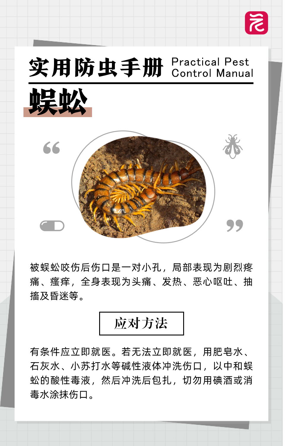 沙发上睡一觉被虫咬，差点截趾！严重或危及生命，千万当心！