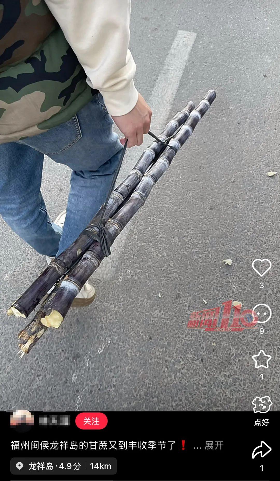 警惕，已进入中毒高发期！福州正大量上市，很多人爱吃