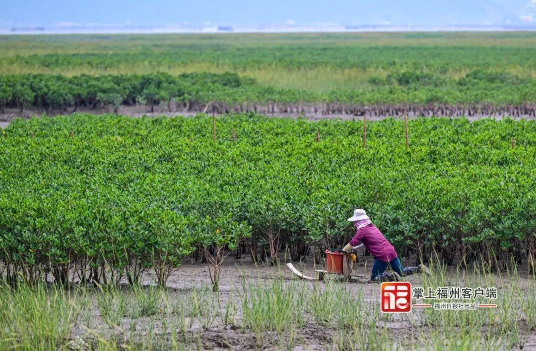 今天，是时候为“福州女”正名了！