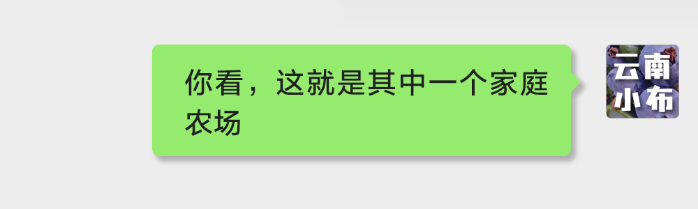 海味与果味，你更爱哪一味？