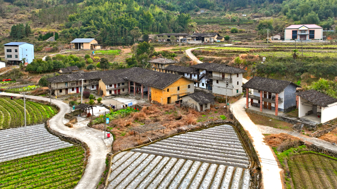走进传统村落 | 省璜镇王洋村：山间明珠焕新彩
