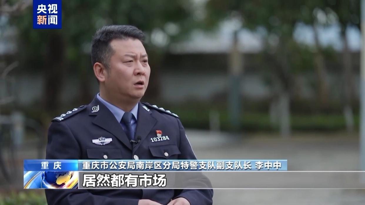 央视还原“胖猫”事件真相