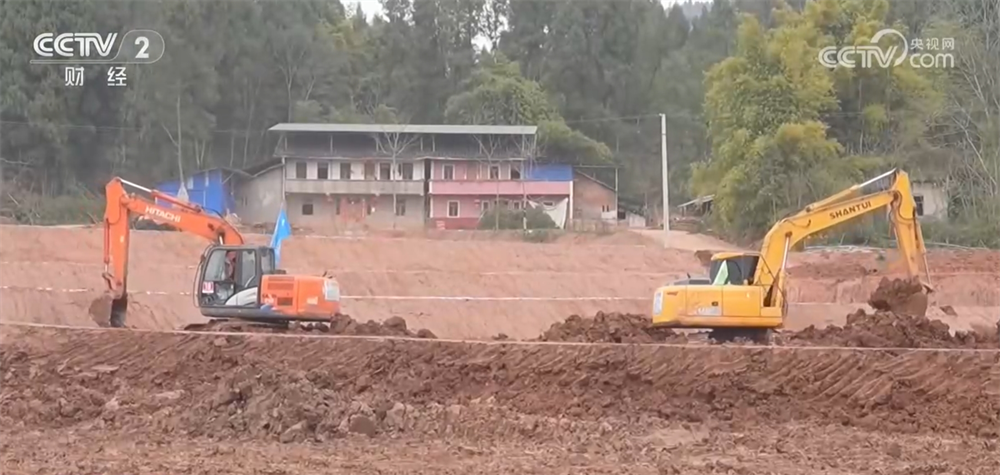 各地抢抓农时 春耕备耕一派火热绘就好“丰”景
