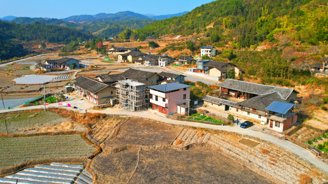 走进传统村落 | 省璜镇王洋村：山间明珠焕新彩