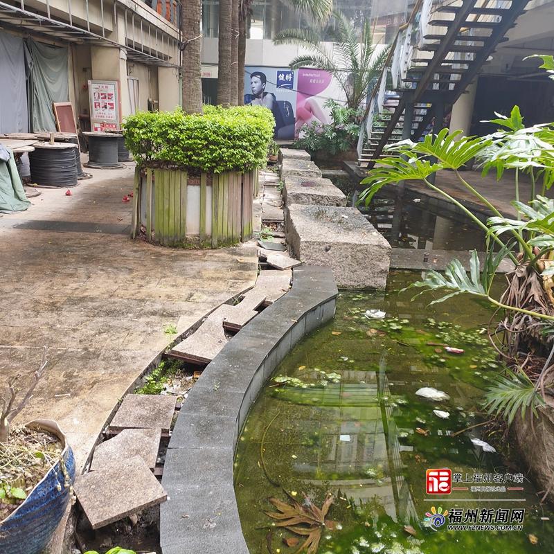 台江世茂外滩花园小区业委会：“双红”共治，谱写治理新篇章