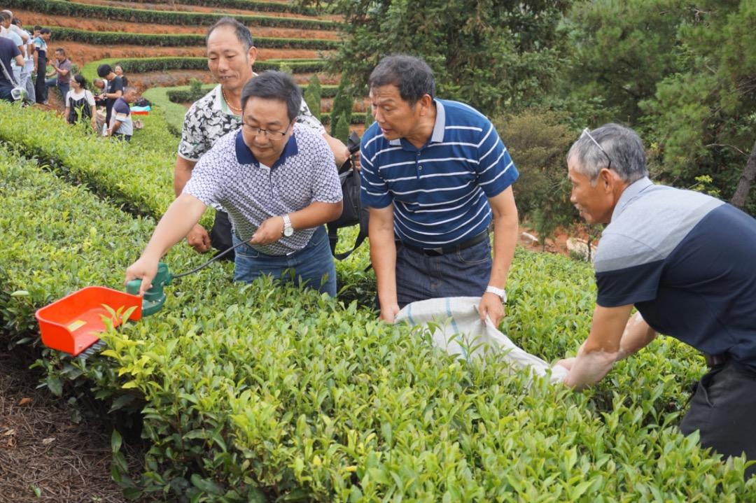 再出发，在春天