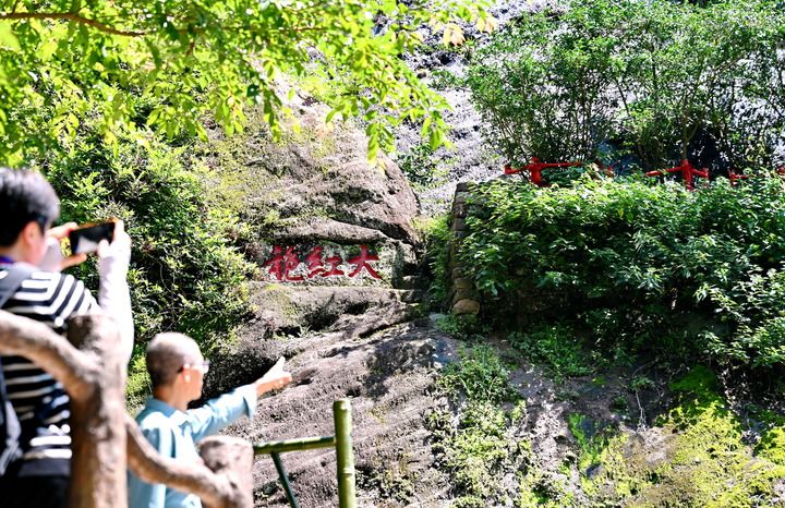 山海咫尺万象新——写在合福高铁开通运营十周年之际