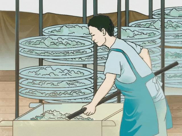 来福州 吃茉莉花茶去