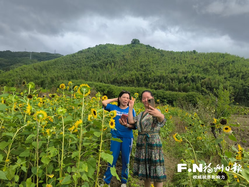 闽侯荆溪关中村：向阳花开引客来