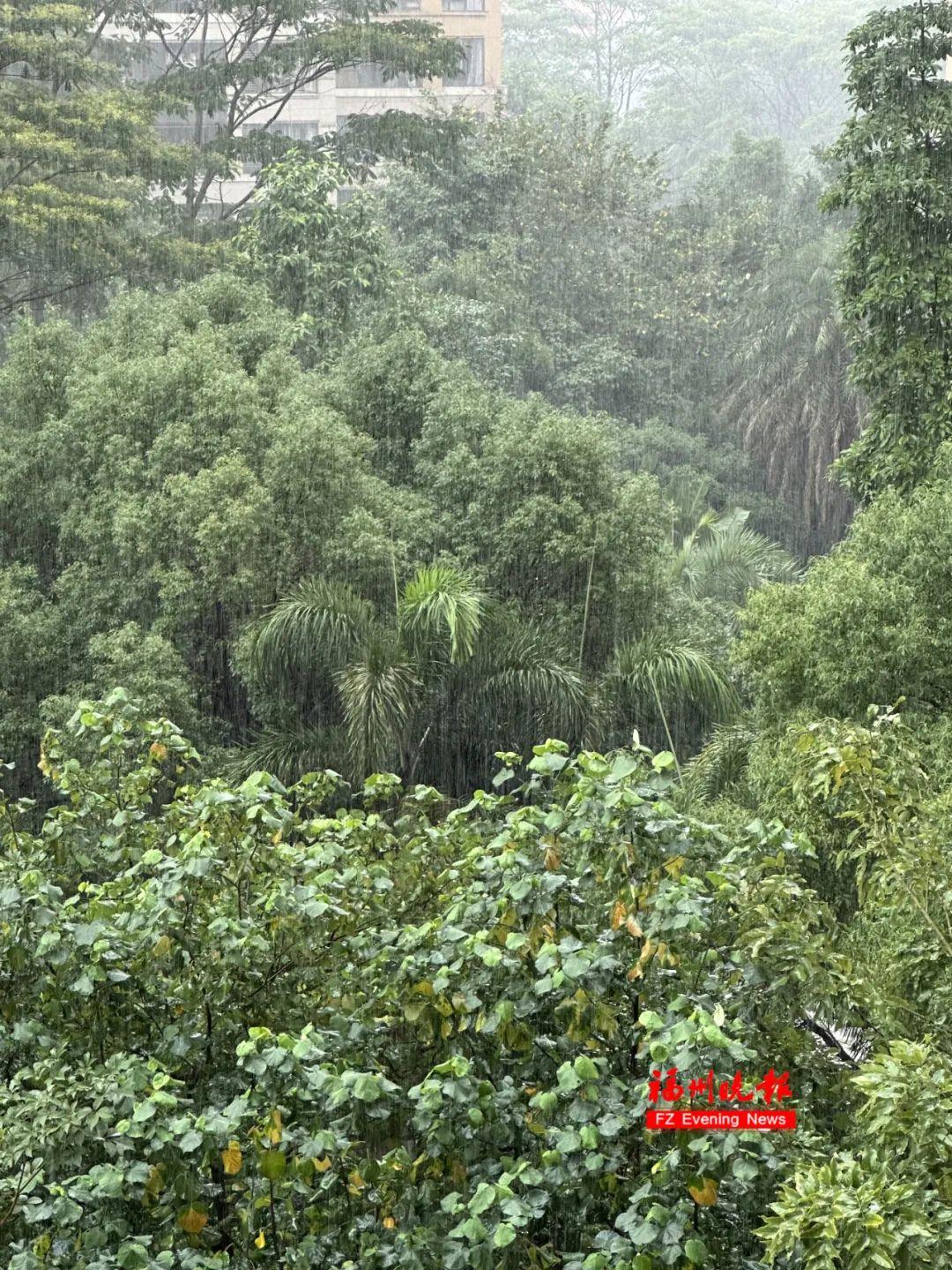 福州大雨倾盆！雷电预警！接下来……