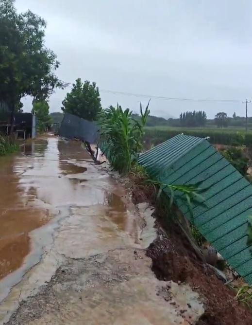 河北暴雨冲毁养殖场 有500万只蝎子