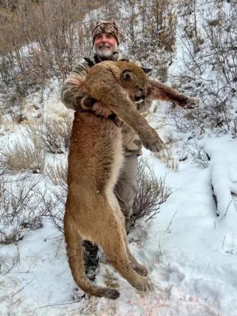 美国富翁在南非狩猎时被水牛顶死
