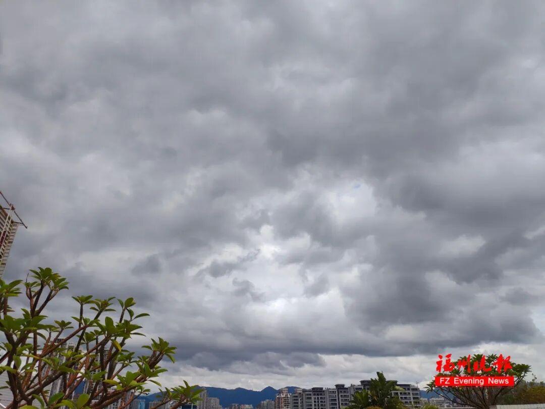 台风“米娜”登陆！福建发布预警，暴雨大暴雨
