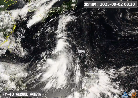 台风“琵琶”或将生成！大雨暴雨即将抵达福建！