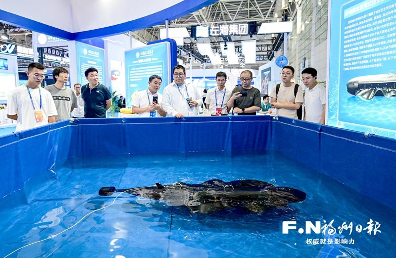 在海装展遇见“船”奇
